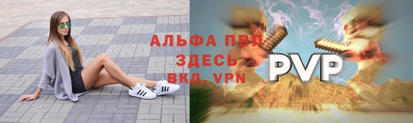 спиды Новозыбков