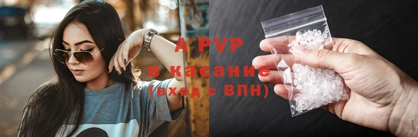 спиды Новозыбков
