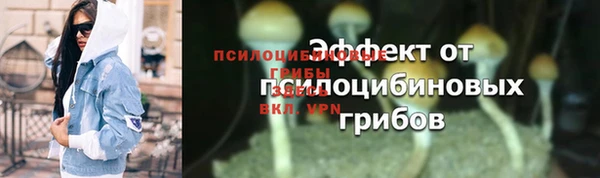 спайс Алзамай