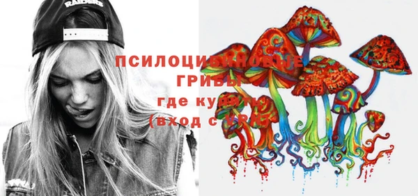 спиды Новозыбков