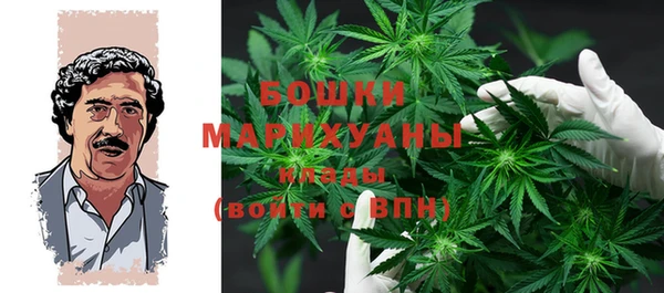 дживик Новодвинск
