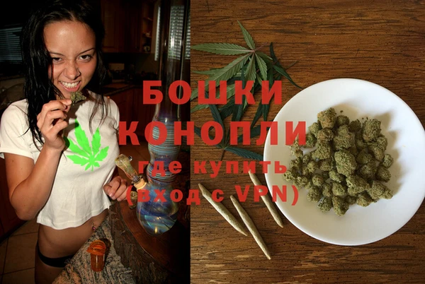 спиды Новозыбков