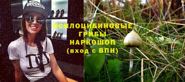 спайс Алзамай