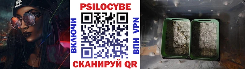 Псилоцибиновые грибы мухоморы  цены   Алушта 